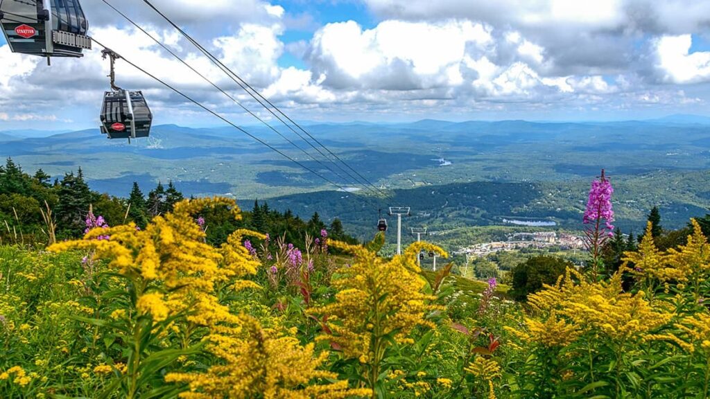 Stratton Mountain scenic lift ride